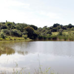 Loteamento Reserva Dos Lagos