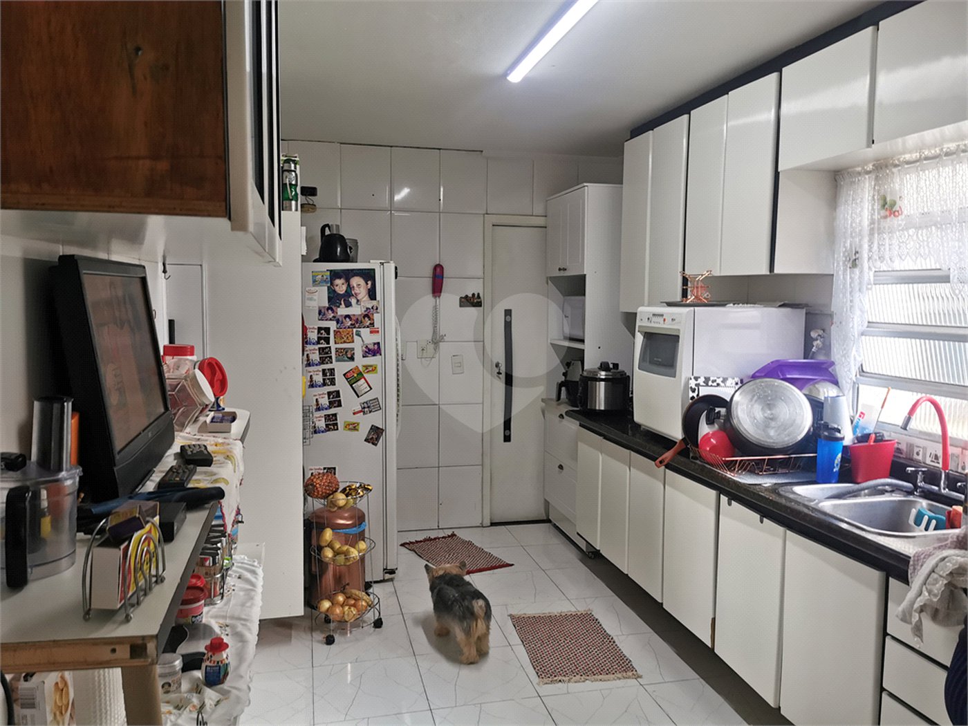 Apartamento à venda com 3 quartos, sendo 1 suíte,  em Freguesia do Ó, São Paulo, SP