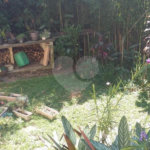 Terreno à venda em Tremembé, São Paulo, SP