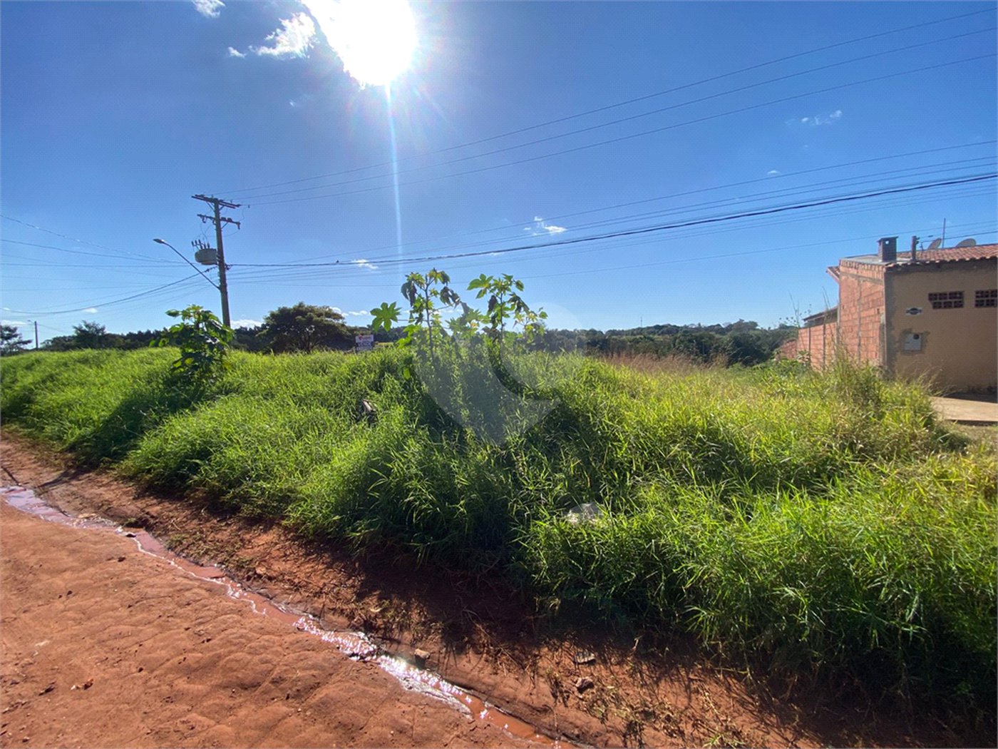 Terreno à venda em Jardim das Paineiras, Ponta Porã, MS