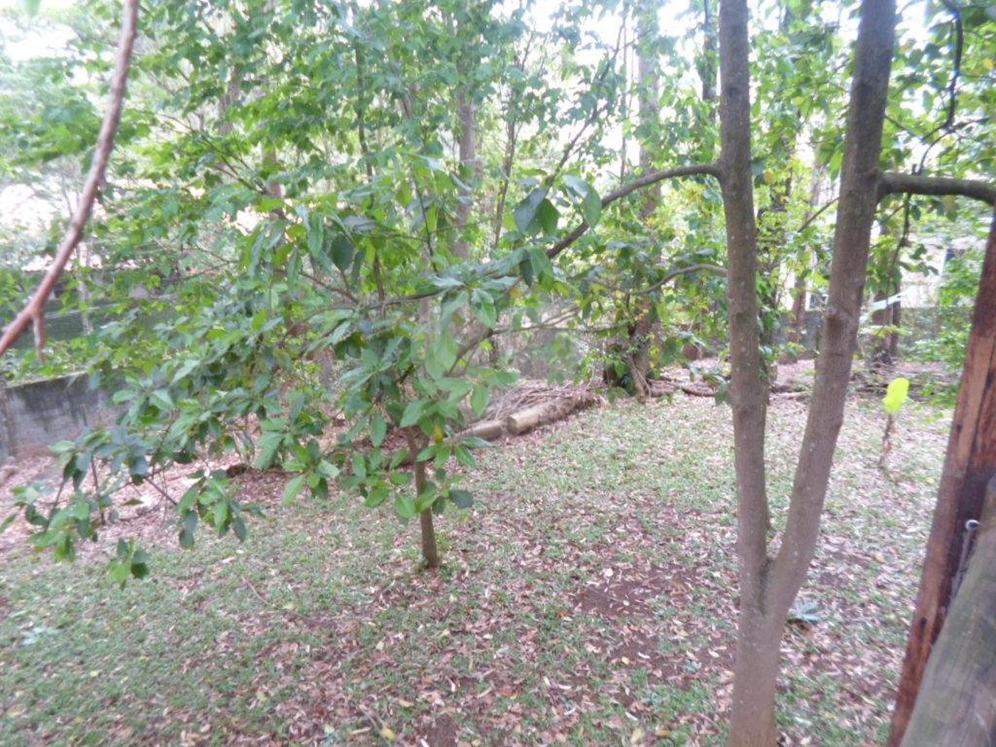 Sobrado à venda com 5 quartos, sendo 3 suítes, em Fazenda Morumbi, São Paulo, SP