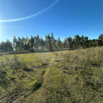 Terreno à venda em Sanga Puita, Ponta Porã, MS