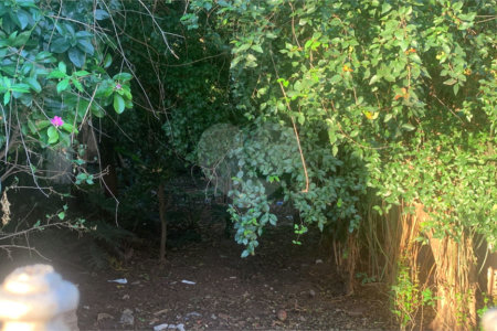 Terreno com 1.000,00 m²