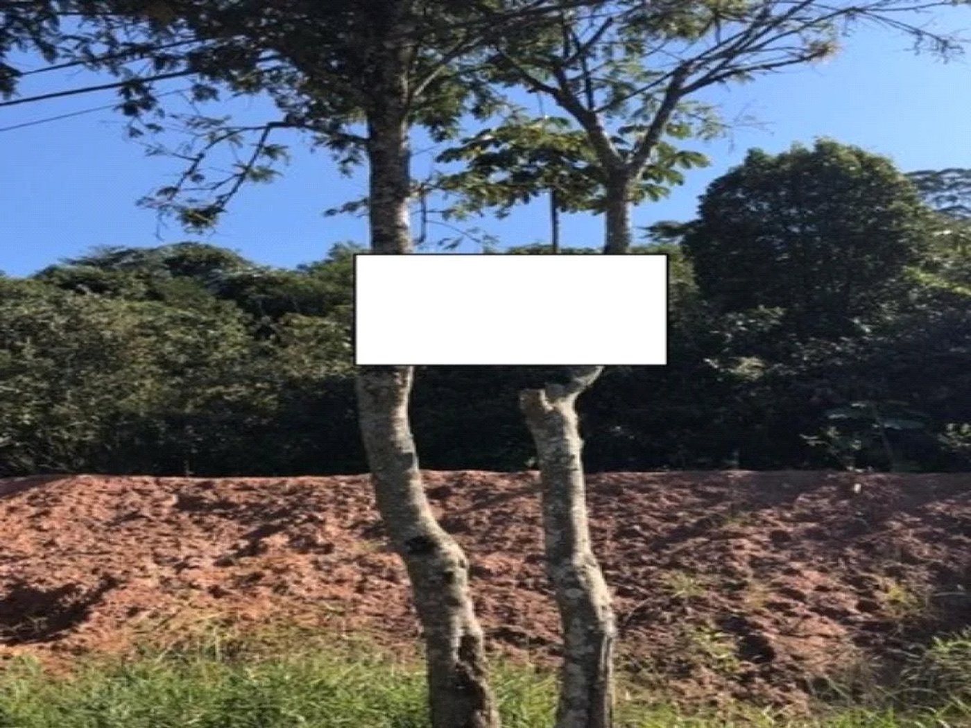 Terreno à venda no condomínio Parque Saint Arthur, São Paulo - SP