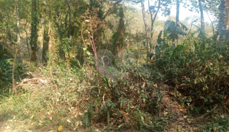 Terreno à venda em Serra da Cantareira, Mairiporã, SP