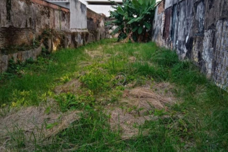 Terreno para alugar, 325 m² por R$ 14.356,00/mês - José Menino - Santos/SP
