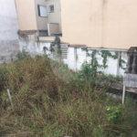 Casa à venda com 2 quartos em Chora Menino, São Paulo, SP