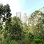 Apartamento à venda com 2 quartos, sendo 1 suíte,  em Jardim Caboré, São Paulo, SP