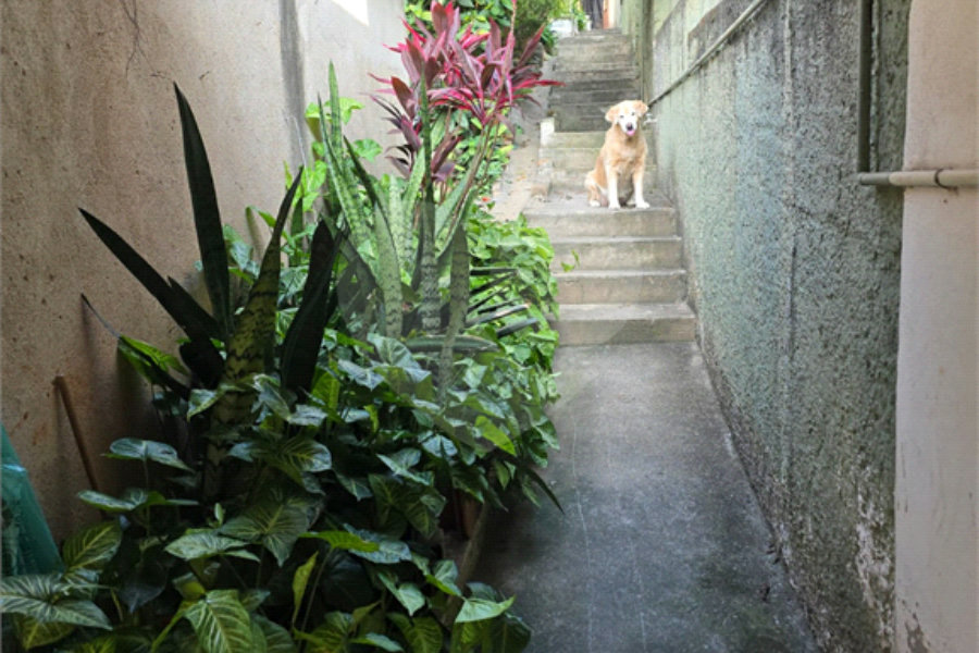 Terreno à venda com 3 quartos em Casa Verde, São Paulo, SP