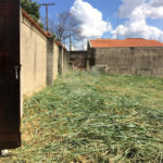 Terreno à venda em Jardim Novo Campos Elíseos, Campinas, SP