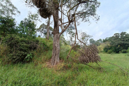 Terreno à venda em Jardim Monte Santo, Itapetininga, SP