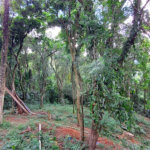 Casa à venda com 2 quartos no condomínio Sausalito, Mairiporã - SP