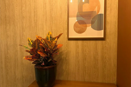 Apartamento à venda ou para alugar com 1 suíte em Pinheiros, São Paulo, SP