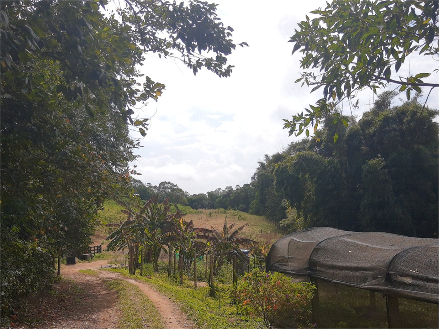 Sítio à venda com 5 quartos, sendo 1 suíte,  em Área Rural de Tapiraí, Tapiraí, SP
