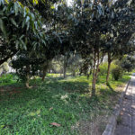 Casa em condomínio à venda com 3 quartos, sendo 1 suíte,  em Jardim Caboré, São Paulo, SP
