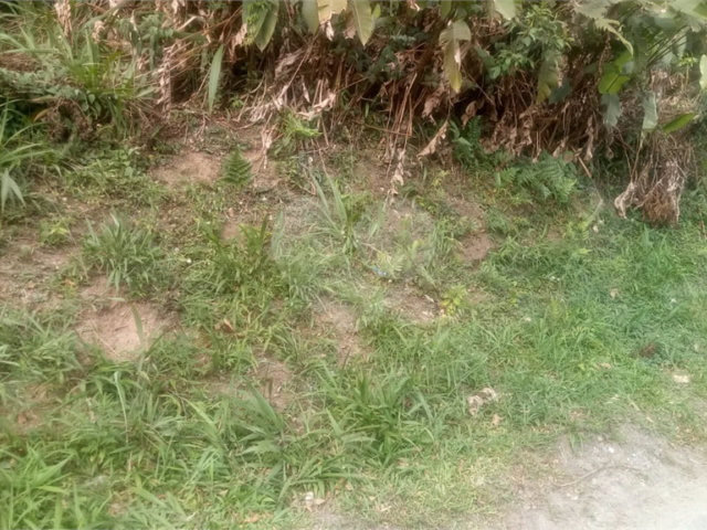 Terreno à venda em Caraguatá, Mairiporã, SP