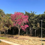 Terreno em condomínio à venda em Porto, Capela do Alto, SP