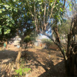 Terreno com 150,00 m² de área .