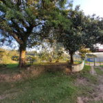 Chácara à venda com 5 quartos em Residencial Veneza I, Mogi das Cruzes, SP