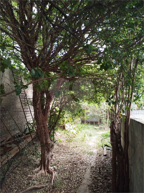 Terreno à venda em Tucuruvi, São Paulo, SP