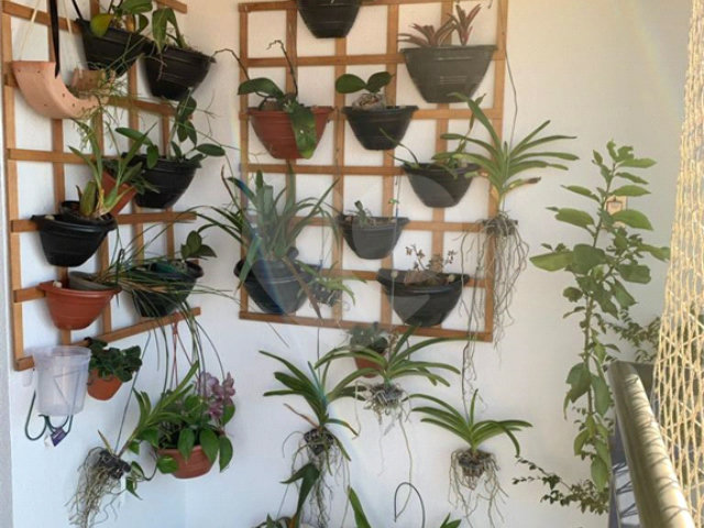 Apartamento à venda com 3 quartos, sendo 2 suítes,  em Tucuruvi, São Paulo, SP