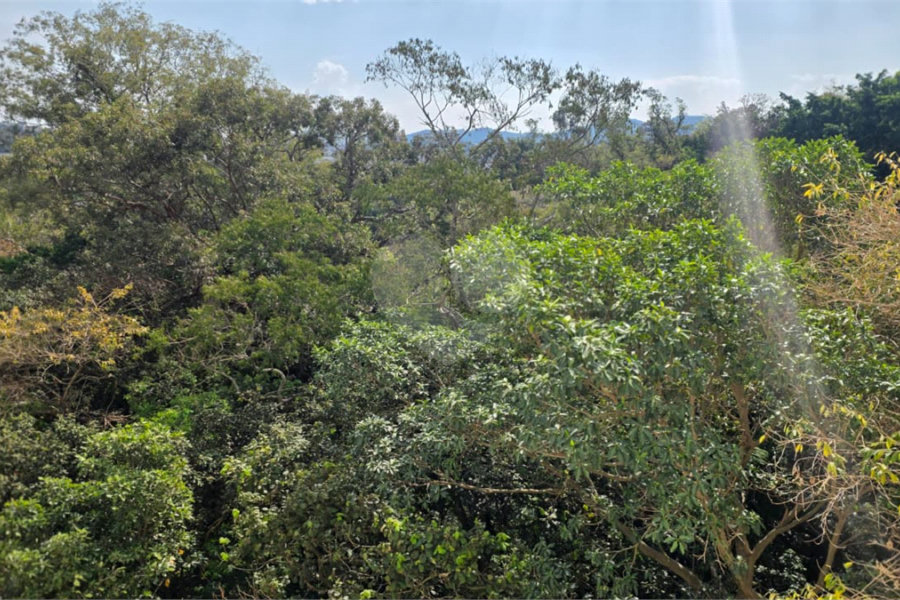 Apartamento à Venda no Condomínio Sítio Anhanguera – Jardim Santo Elias | São Paulo