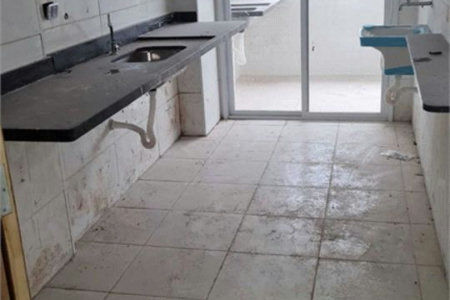 Apartamento Residencial à venda, Macuco, Santos - AP1011.