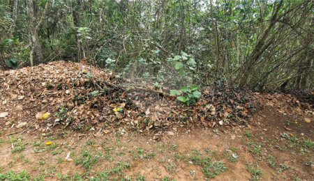 Terreno à venda em Serra da Cantareira, Mairiporã, SP