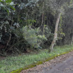 Terreno à venda no condomínio Alpes da Cantareira, Mairiporã - SP