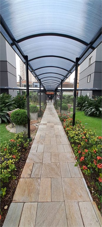 Apartamento para alugar com 2 quartos em Tucuruvi, São Paulo, SP