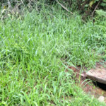 Terreno à venda no condomínio Campos de Mairiporã Gleba 1, Mairiporã - SP