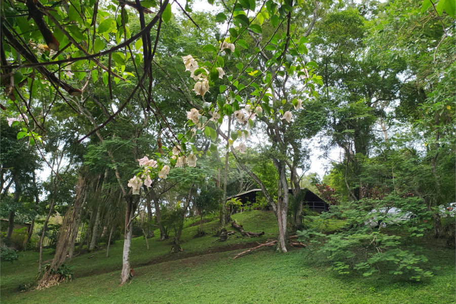 Casa à venda com 2 quartos no condomínio Céu Azul, Mairiporã - SP