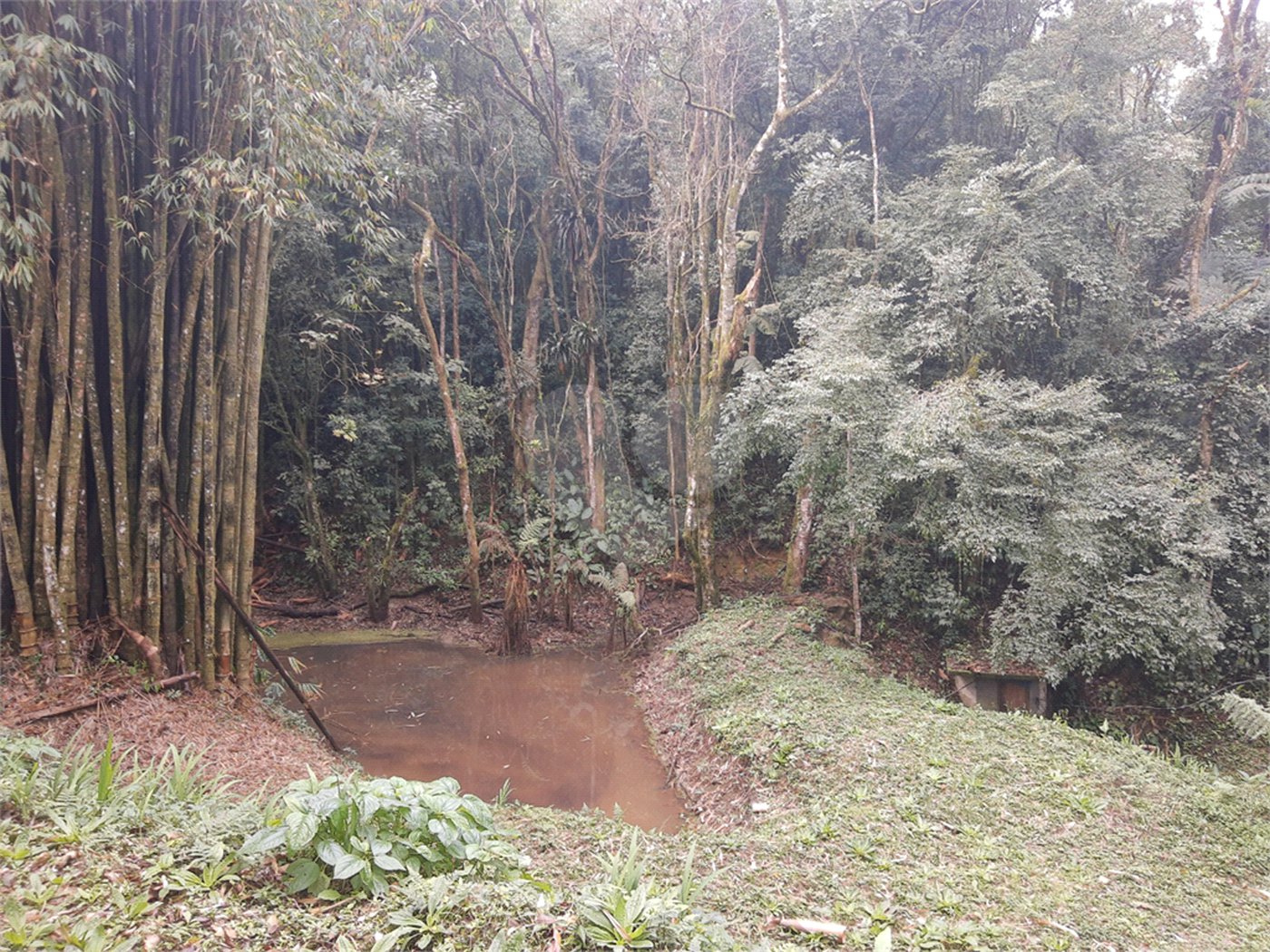 Sítio à venda com 5 quartos, sendo 1 suíte,  em Área Rural de Tapiraí, Tapiraí, SP