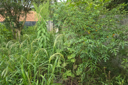 Casa à venda com 2 quartos, sendo 1 suíte, em Ressaca, Atibaia, SP