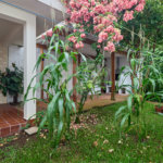 Casa à venda com 3 suítes em City Campo Grande, São Paulo, SP