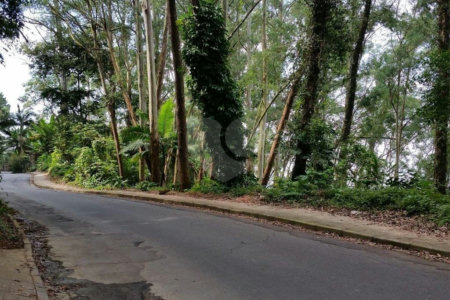 Terreno à venda em Tucuruvi, São Paulo, SP