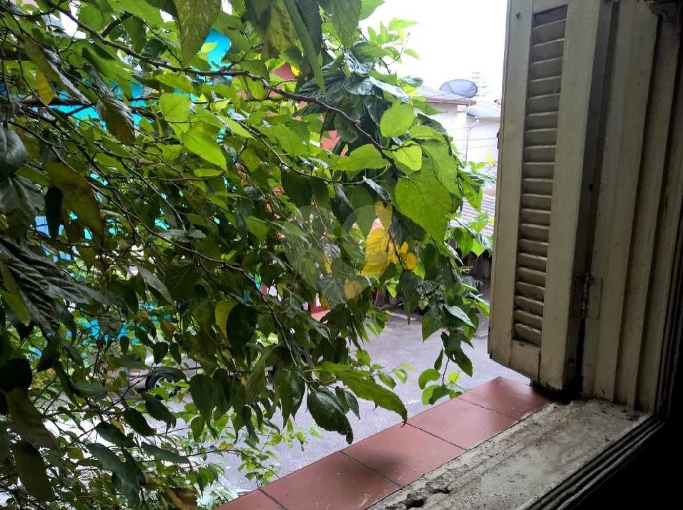 Casa à venda com 2 quartos em Cambuci, São Paulo, SP