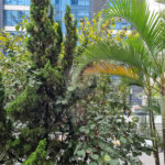 Apartamento à venda com 3 quartos, sendo 1 suíte, em Liberdade, São Paulo, SP