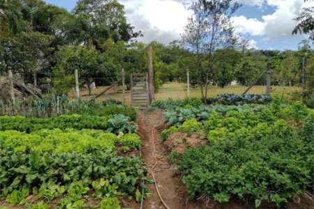 Excelente imóvel rural na cidade de Piedade/SP