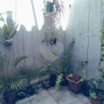 Casa à venda com 3 quartos, sendo 1 suíte, em Santana, São Paulo, SP