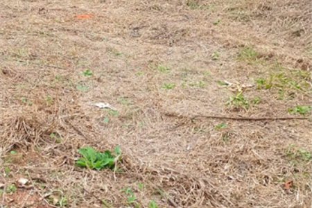 Terreno à venda em Jardim América, Bragança Paulista, SP