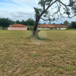 Loteamento Residencial no Condomínio Vila Pinhal do Broa
