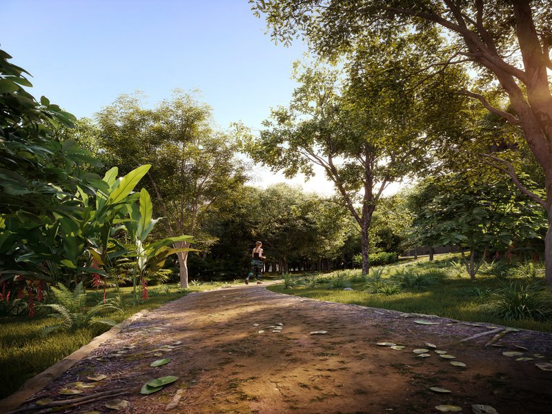 Nature São Roque