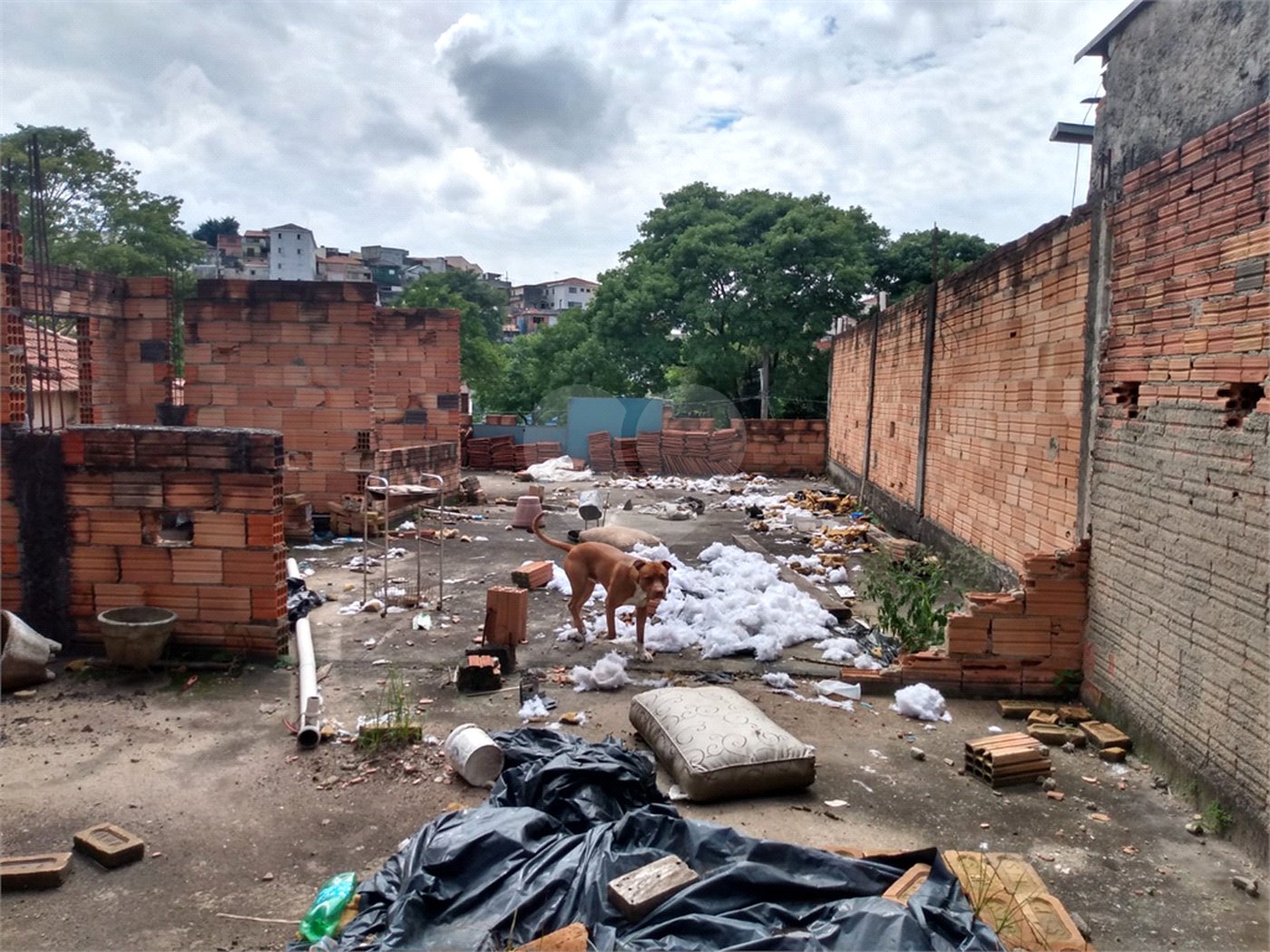 Casa à venda com 1 quarto em Vila Maria Alta, São Paulo, SP