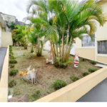 Apartamento à venda com 2 quartos em Jaçanã, São Paulo, SP