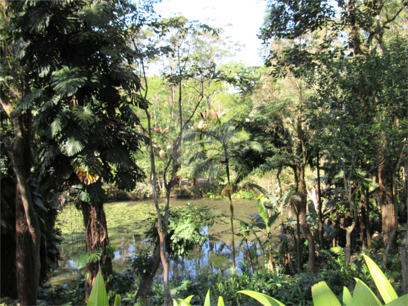 Terreno à venda em Chácara Flora, São Paulo, SP