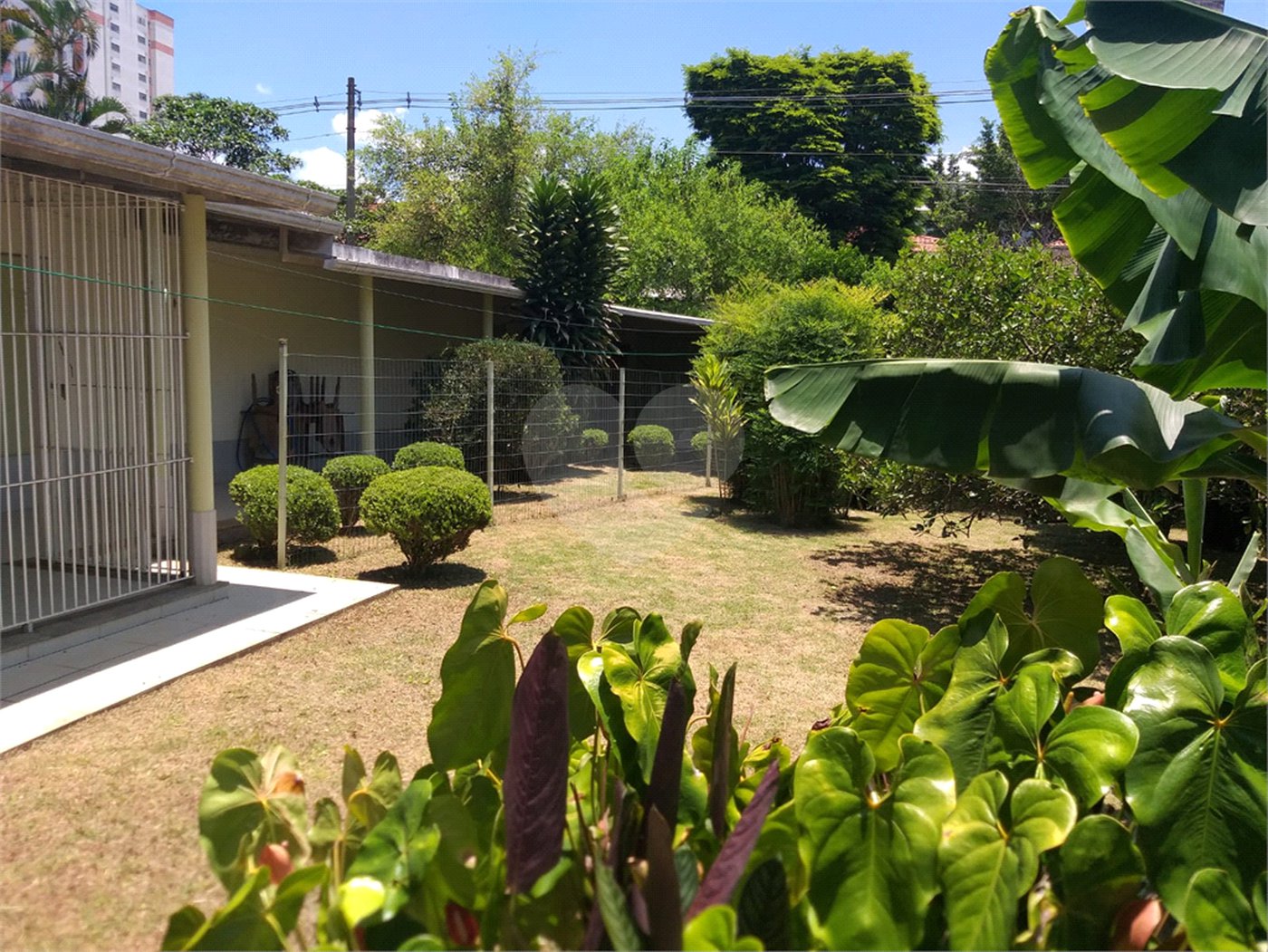 Terreno à venda com 1 quarto em Campo Grande, São Paulo, SP