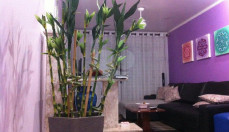 Sobrado à venda com 3 quartos, sendo 1 suíte,  em Vila Guilherme, São Paulo, SP