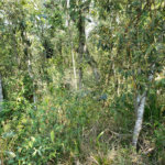 Terreno à venda no condomínio Residencial Cerros Verdes, Mairiporã - SP