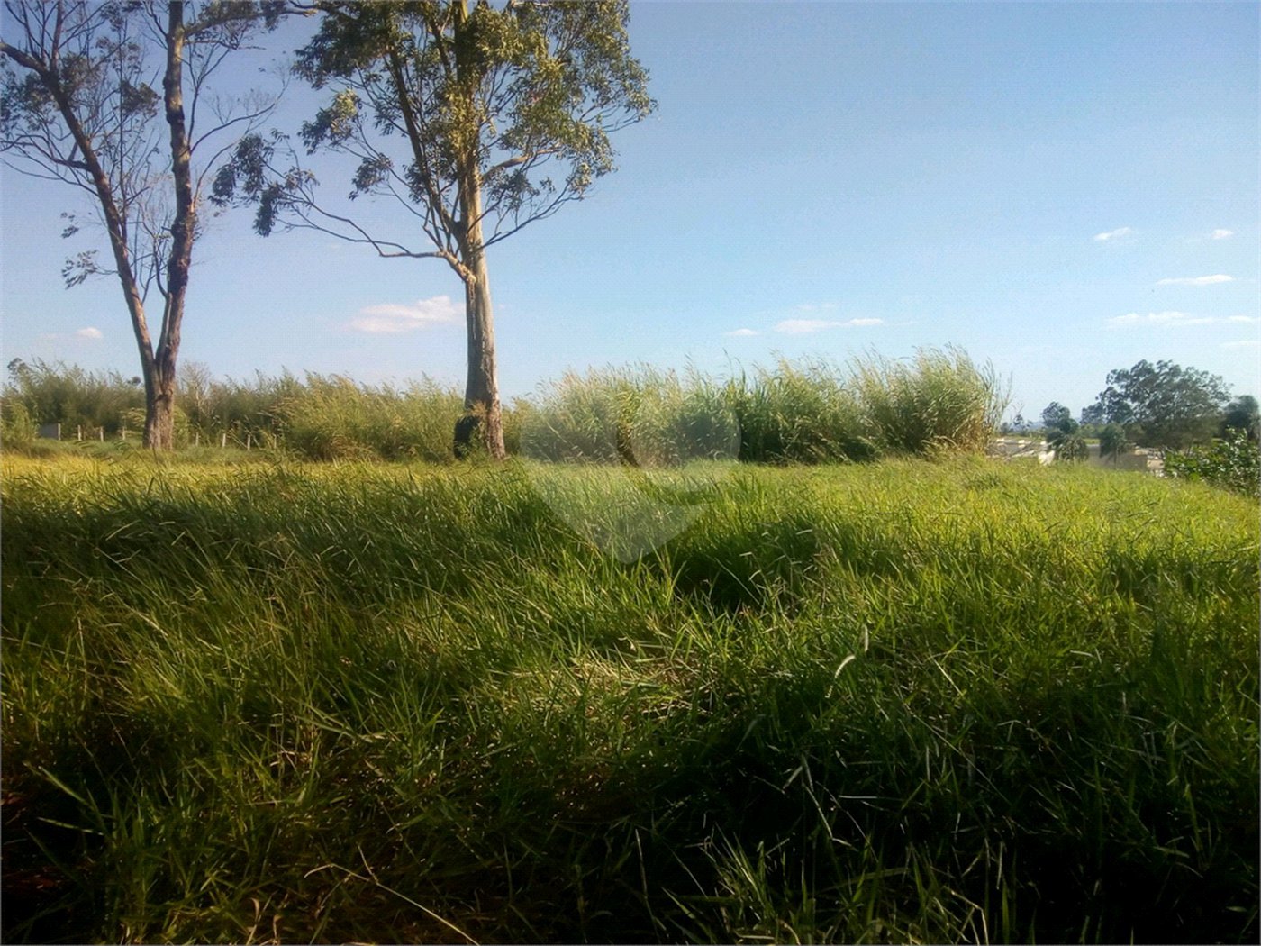 Terreno à venda em Parque Olimpico, Mogi das Cruzes, SP